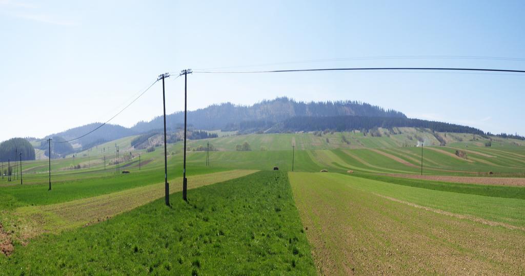Pensjonat Tajemniczy Ogrod Frydman Exterior foto